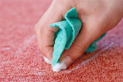 cleaning mud Australia|How To Get Mud Out Of Carpet .